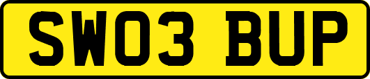 SW03BUP