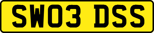 SW03DSS