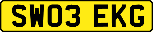 SW03EKG