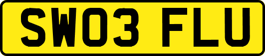SW03FLU