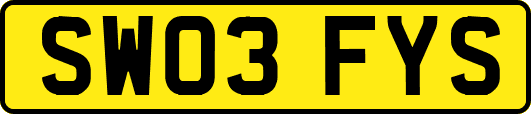 SW03FYS