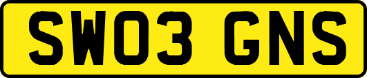SW03GNS