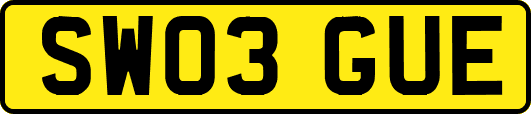 SW03GUE
