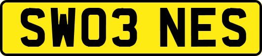 SW03NES