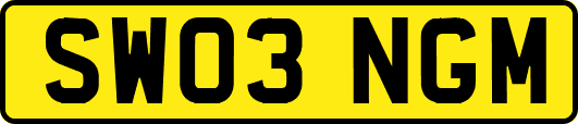 SW03NGM