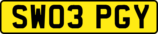 SW03PGY