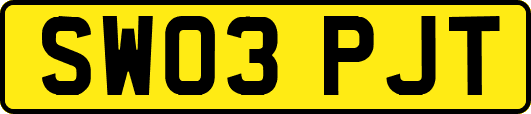 SW03PJT