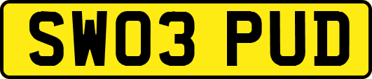 SW03PUD