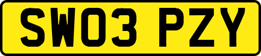 SW03PZY