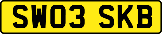 SW03SKB
