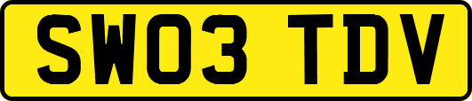 SW03TDV