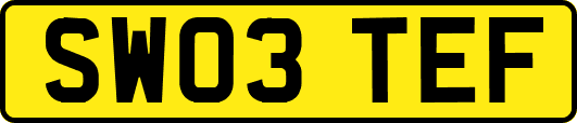 SW03TEF