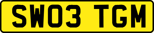 SW03TGM