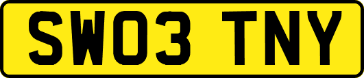 SW03TNY