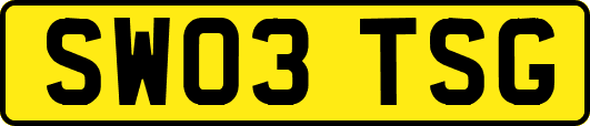 SW03TSG