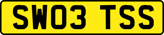 SW03TSS