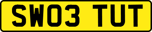 SW03TUT