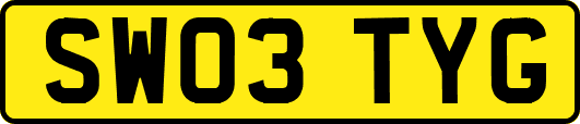 SW03TYG