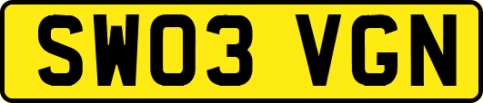 SW03VGN