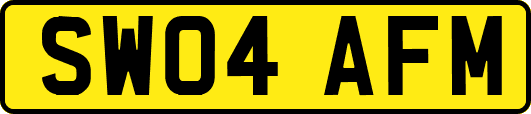 SW04AFM