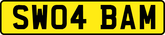 SW04BAM