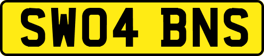 SW04BNS