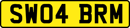 SW04BRM