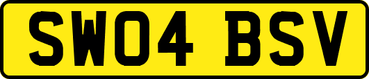 SW04BSV