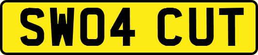SW04CUT