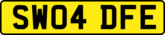 SW04DFE