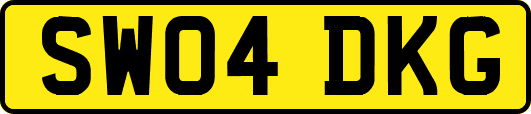 SW04DKG