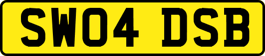 SW04DSB
