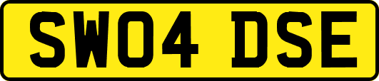 SW04DSE
