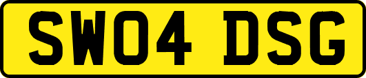SW04DSG