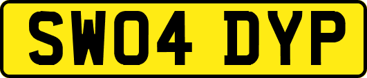 SW04DYP