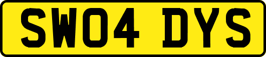 SW04DYS