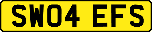 SW04EFS