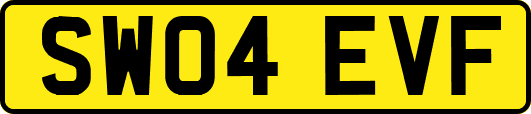 SW04EVF
