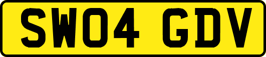 SW04GDV