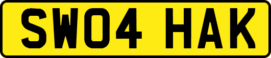 SW04HAK