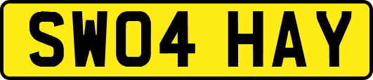 SW04HAY