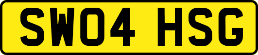 SW04HSG