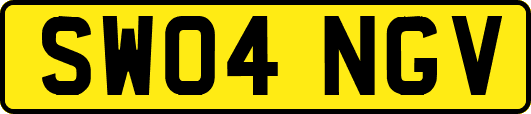 SW04NGV