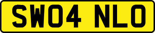 SW04NLO