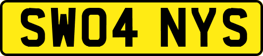 SW04NYS
