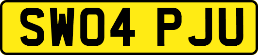SW04PJU