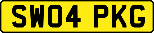 SW04PKG