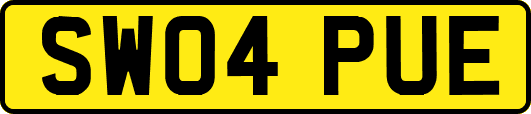 SW04PUE