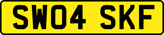 SW04SKF