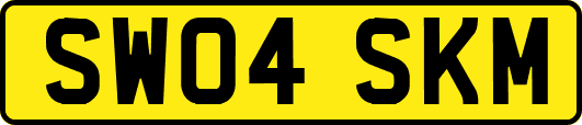 SW04SKM